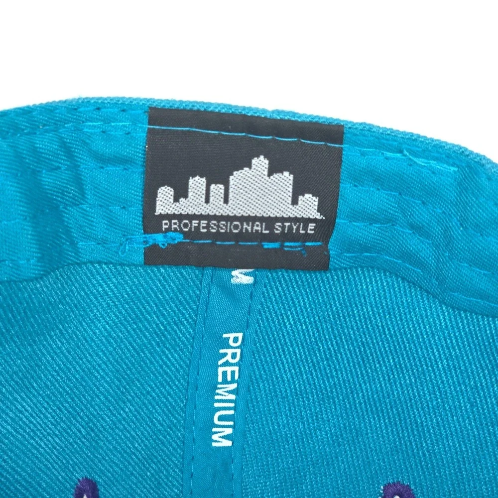 N/A charlotte hornets